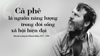 Kỳ 112: Cà phê và sự phát triển bền vững
