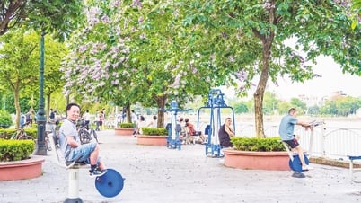 Phường Bắc Giang: Kiến tạo môi trường sống hiện đại, thân thiện và an toàn