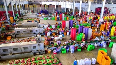Xã Hàm Kiệm: Cuộc hoán đổi vị trí “ngoạn mục" giữa nông, công nghiệp