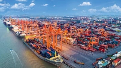 Tin tức đặc biệt trên báo in Hànộimới ngày 29-7-2025