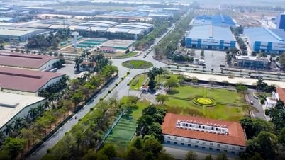 Identificar el potencial del nuevo Dong Nai para servir al desarrollo