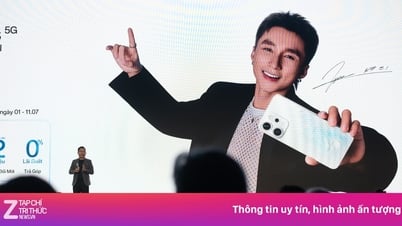 손둥과의 재결합, 오포의 영광이 돌아올까?