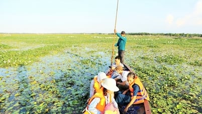 Tam Ky est suggéré dans le top 5 des destinations exceptionnelles pour le tourisme durable.