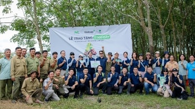 Vietcap trồng 6.000 cây tại rừng phòng hộ Dầu Tiếng với dự án Go Green Go Up