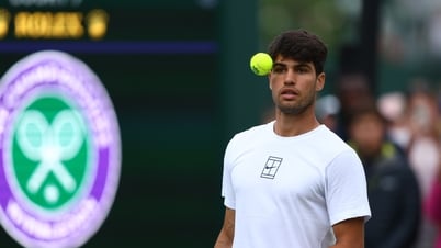 Carlos Alcaraz erreicht Runde 3 in Wimbledon