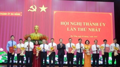 Da Nang announces decisions on organizational structure and key personnel