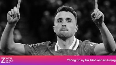 Falleció Diogo Jota