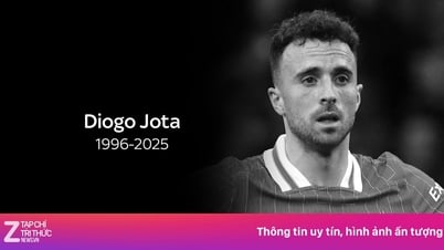 Diogo Jotas unvollendetes Erbe