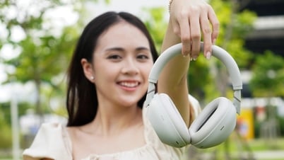 Análisis práctico de los Sony WH-1000XM6: rivales de los Apple AirPods Max