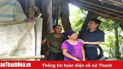 بلدية كو لونغ: الحكومة ستضمن ظروف الأمن والسلامة للأسر التي تنتظر إعادة التوطين.