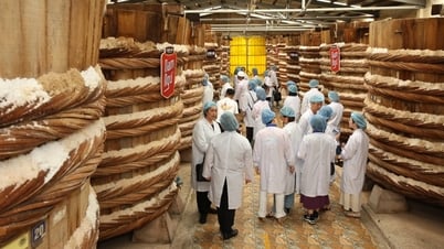 ماسان بي كيو تحتفل بالذكرى الثامنة عشرة