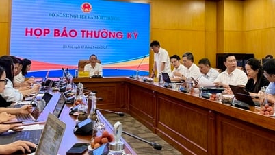 In the first 6 months of the year, agricultural, forestry and fishery exports increased by more than 15%