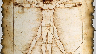 Revealing the secret hidden in Leonardo da Vinci's masterpiece "Vitruvian Man"