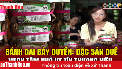 [مراجعة OCOP] كعكة الأرز اللزجة من Bay Quyen: تخصص محلي وصل إلى آفاق جديدة بفضل سمعة علامته التجارية