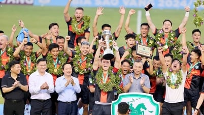 CLB Ninh Bình có trở thành thế lực mới ở V-League?