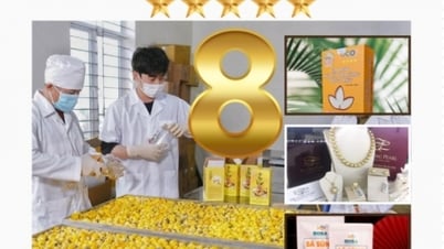 8 - คือจำนวนผลิตภัณฑ์ OCOP ของจังหวัดกวางนิญที่ได้รับการจัดอันดับ 5 ดาวในระดับประเทศ