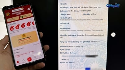 VNeID에 신분증 사진 올리는 추세로 개인정보 유출 위험