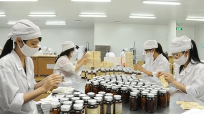 Trình tự đánh giá việc đáp ứng Thực hành tốt sản xuất thuốc, nguyên liệu làm thuốc