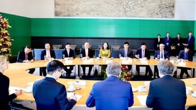Германия готова принять вьетнамских студентов для обучения по программе двойного диплома.