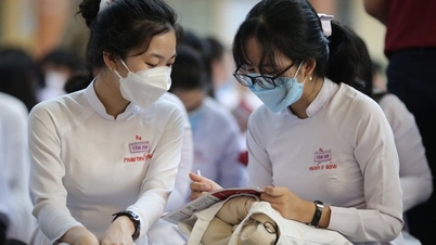 La puntuación media de la Universidad de Lenguas Extranjeras y Tecnología de la Información de la Ciudad de Ho Chi Minh es de 15 a 17.