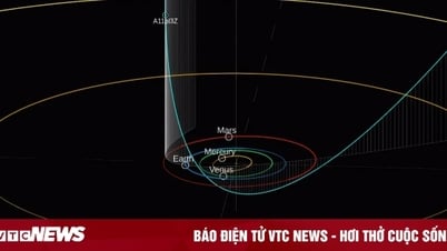 Objet interstellaire A11pl3Z – le troisième « étrange visiteur » du système solaire
