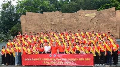 Thầm lặng gieo sự sống