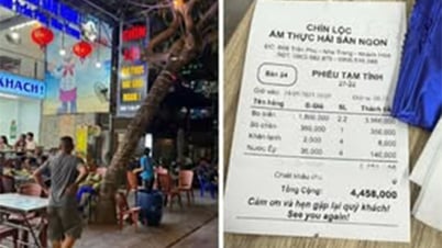 문명화된 관광객이 되세요