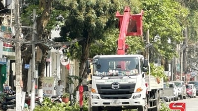문명화되고 깨끗한 도시적 모습을 만드는 데 기여합니다.