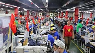 Предприятия Nghe An применяют ИИ в производстве и бизнесе