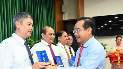 Chairman of Ho Chi Minh City People's Committee appoints leaders of 54 public service units