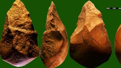 Ensemble d'outils en pierre An Khe : 300 000 ans d'histoire vietnamienne à découvrir