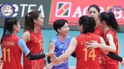 Tuyển bóng chuyền nữ Việt Nam vào bán kết VTV Cup 2025