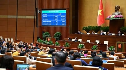 Asamblea Nacional aprueba Ley de Ciencia, Tecnología e Innovación