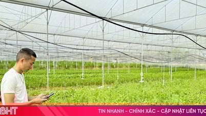 Digital technology - "Key" to improving production and business