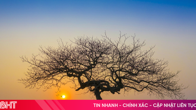 ផតឃែស្ថអត្ថបទ៖ ស្នេហាជនបទក្នុងម្ហូបដំឡូងផ្អែម