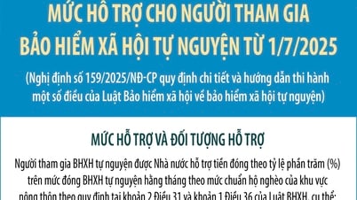Mức hỗ trợ cho người tham gia bảo hiểm xã hội tự nguyện từ 1/7/2025