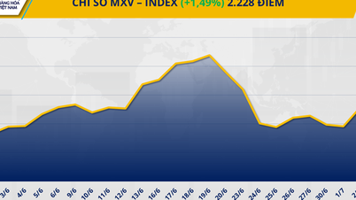 US-Vietnam reach trade agreement: Positive sentiment spreads across commodity markets
