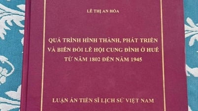 Thèse de doctorat plagiée à Hue : hormis le plagiat, la thèse conserve une signification scientifique