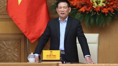 Phó Thủ tướng Hồ Đức Phớc làm Trưởng BCĐTW cải cách chính sách tiền lương, bảo hiểm xã hội và ưu đãi người có công