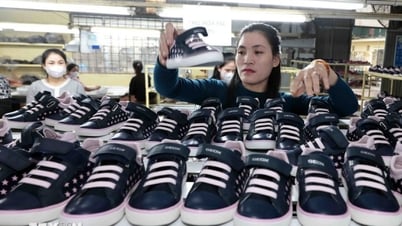 Kết quả khả quan từ việc đạt được đàm phán thương mại với Hoa Kỳ