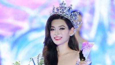 ความวุ่นวายประกวดนางงาม: ความรับผิดชอบอันยิ่งใหญ่และคำถามสำหรับหน่วยงานจัดการ