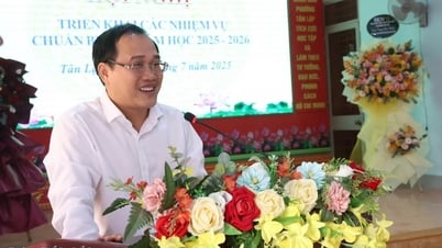 탄랩구, 2025-2026학년도 업무 배치
