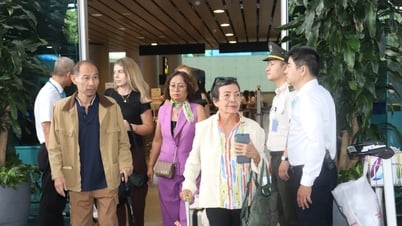 Reopening direct flights from Osaka to Da Nang
