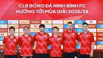 Logo mới của Ninh Bình FC có hình ảnh đặc biệt, sao cũ HAGL ra mắt gây chú ý