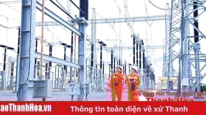 Bảo đảm truyền tải điện an toàn, liên tục mùa nắng nóng