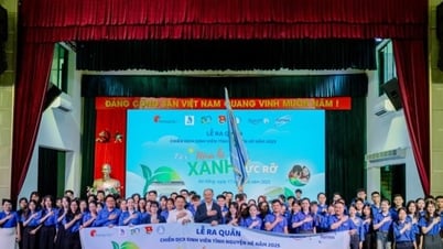 Remos ra quân chiến dịch tình nguyện 2025 với chương trình ‘Flex mùa hè xanh rực rỡ’