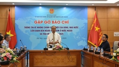Tạo điều kiện cho kiều bào đóng góp hiệu quả hơn vào sự nghiệp của đất nước