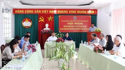 Implementing Instruction No. 117 of the Central Standing Committee of the Vietnam Catholic Solidarity Committee