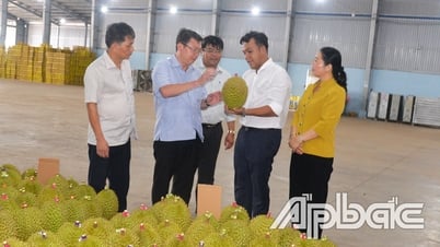 Phát triển xã Ngũ Hiệp văn minh và giàu mạnh
