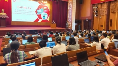 Fighting against deviant manifestations in cyberspace - practice from Quang Ninh